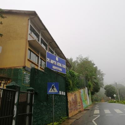 111112727 286642166113471 8893784525332806398 N