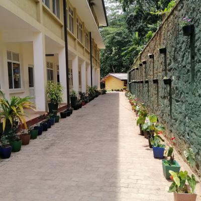 120889530 342805070497180 8723279339782462206 N